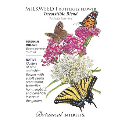 MILKWEED IRRESISTIBLE BLEND