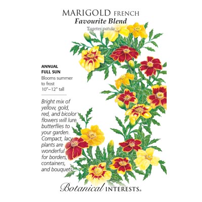 MARIGOLD FRENCH FAVOURITE BLEND