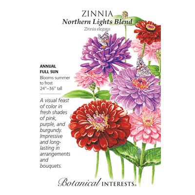 ZINNIA NORTHERN LIGHTS BLEND