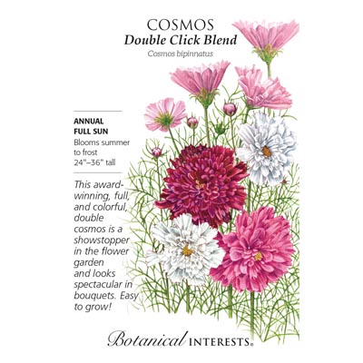 COSMOS DOUBLE CLICK BLEND