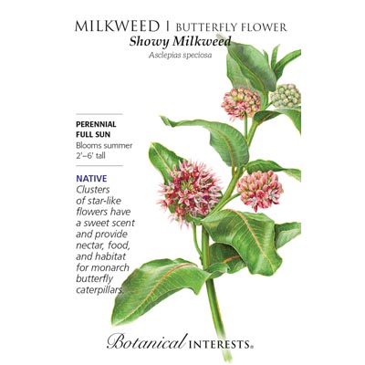 MILKWEED SHOWY