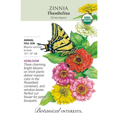 ZINNIA THUMBELINA ORG