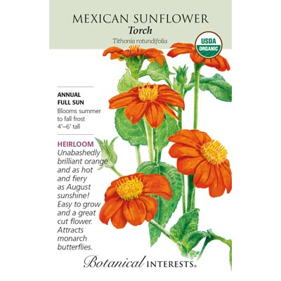 SUNFLOWER MEXICAN TORCH ORG