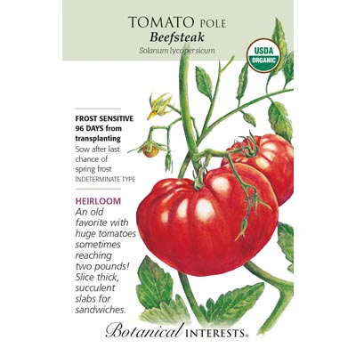 TOMATO POLE BEEFSTEAK ORG