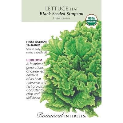 LETTUCE LEAF BLACK SD SIMPSON OR