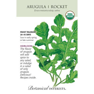 ARUGULA ROCKET ORG