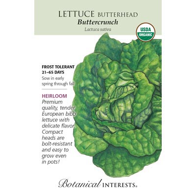 LETTUCE BUTTERHEAD BUTTRCRCH ORG