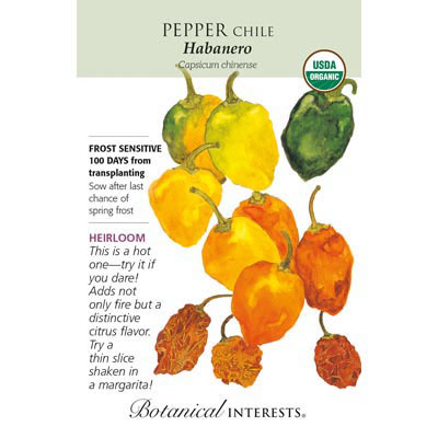 PEPPER CHILE HABANERO ORG