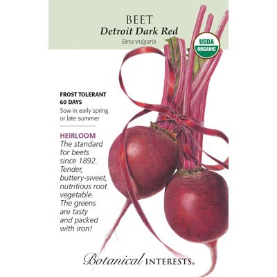 BEET (RED) DETROIT DARK ORG