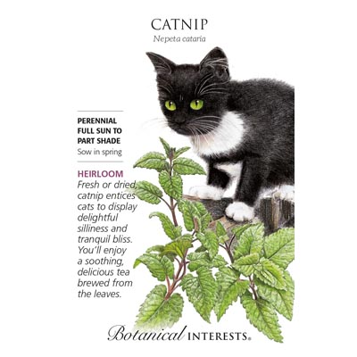 CATNIP