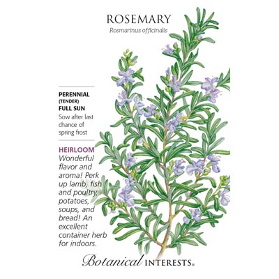 ROSEMARY