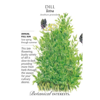 DILL TETRA