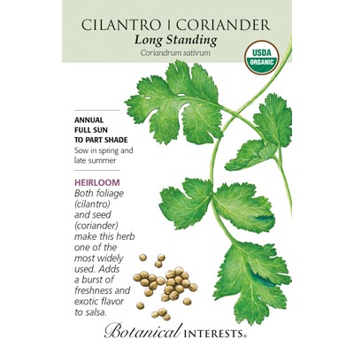 CILANTRO / CORIANDER ORG