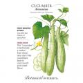 CUCUMBER ARMENIAN