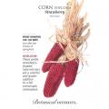 CORN POPCORN STRAWBERRY