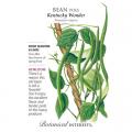 BEAN POLE KENTUCKY WONDER
