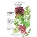 LETTUCE MESCLUN CHEF'S CHOICE