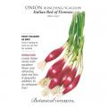 ONION BUNCHING RED ITALIAN