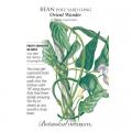 BEAN POLE YARDLONGORIENTWONDER
