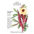 OKRA RED BURGUNDY