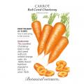 CARROT RED CORED CHANTENAY