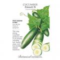 CUCUMBER POINSETT 76