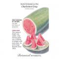 WATERMELON CHARLESTON GRAY