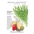 ARUGULA WILD ROCKET