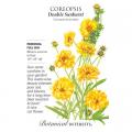 COREOPSIS DOUBLE SUNBURST