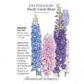 DELPHINIUM PACIFIC GIANT BLEND