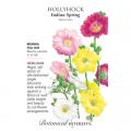 HOLLYHOCK INDIAN SPRING