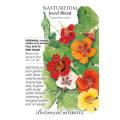 NASTURTIUM JEWEL BLEND