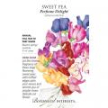 SWEET PEA PERFUME DELIGHT BLEND