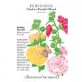 HOLLYHOCK CHATER'S DOUBLE BLEND