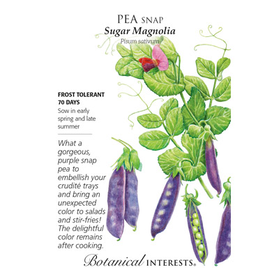 PEA SNAP SUGAR MAGNOLIA