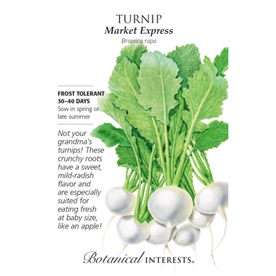 TURNIP MARKET EXPRESS