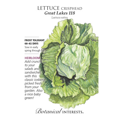 LETTUCE CRISPHEAD GREAT LAKES