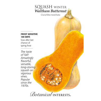 SQUASH WINTER WALTHAM BTTRNT