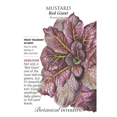 MUSTARD RED GIANT