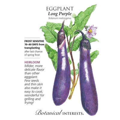 EGGPLANT LONG PURPLE