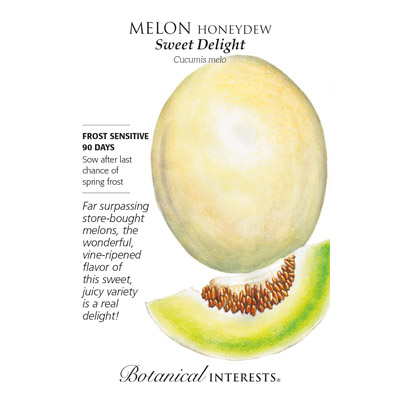 MELON HONEYDEW SWEET DELIGHT