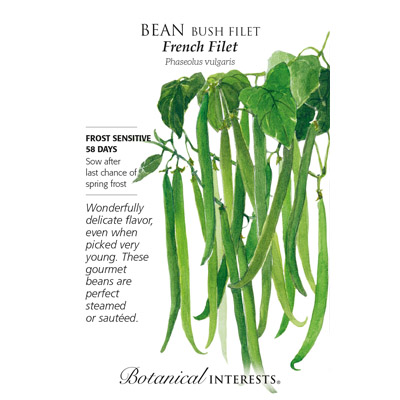 BEAN BUSH FRENCH FILET