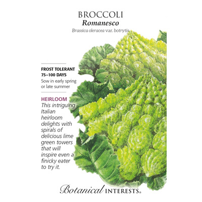 CAULIFLOWER ROMANESCO