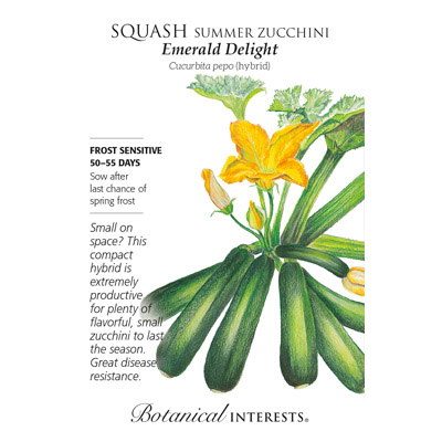 SQUASH SUMMER EMERALD HYBRID