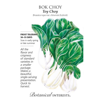 BOK CHOY TOY CHOY HYBRID