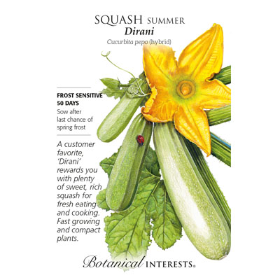 SQUASH SUMMER DIRANI HYBRID