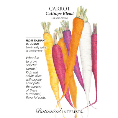 CARROT CALLIOPE BLEND