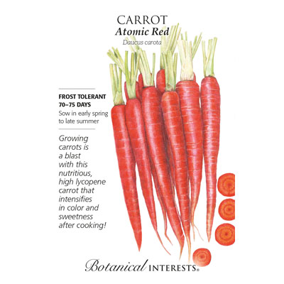 CARROT ATOMIC RED