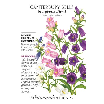 CANTERBURY BELLS BLEND