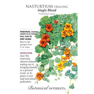 NASTURTIUM TRAILING SINGLE BLEND